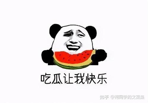 娱乐吃瓜文案图片搞笑